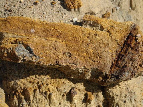 Foto Geomorphologica (c) Petru Goja